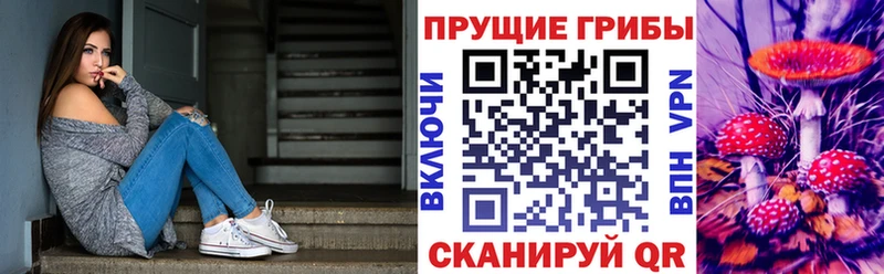 Галлюциногенные грибы MAGIC MUSHROOMS  ссылка на мегу рабочий сайт  дарк нет телеграм  купить наркотик  Бабушкин 